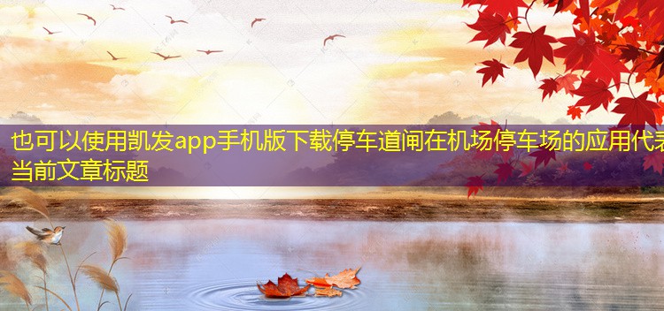停車道閘在機(jī)場(chǎng)停車場(chǎng)的應(yīng)用