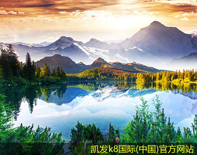 停車道閘的售后服務重要性