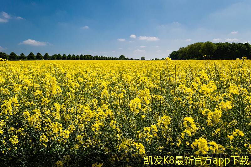 可視對(duì)講的市場(chǎng)競(jìng)爭(zhēng)格局分析