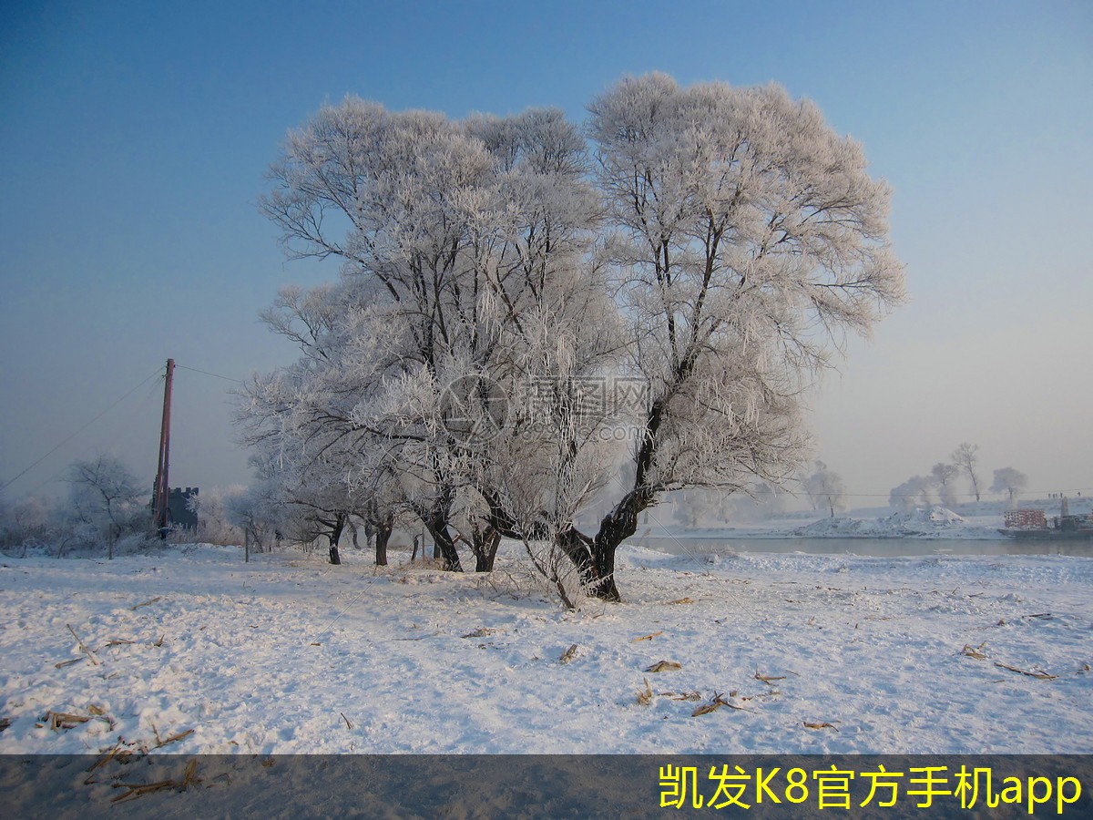 如何利用背景音樂(lè)營(yíng)造家庭聚會(huì)的氛圍