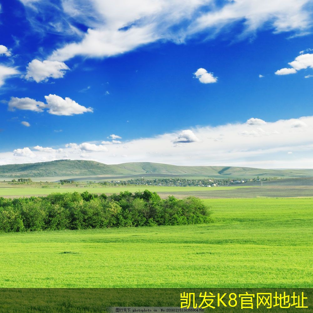 如何在視頻會(huì)議中保持專業(yè)形象