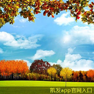 如何提高辦公場(chǎng)所的無線WIFI效率