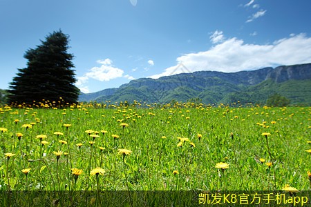 如何提高視頻會(huì)議的參與感