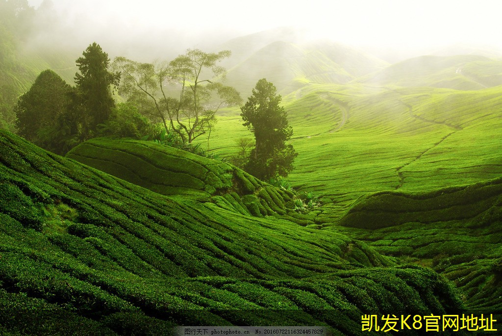如何有效管理安防監(jiān)控數據