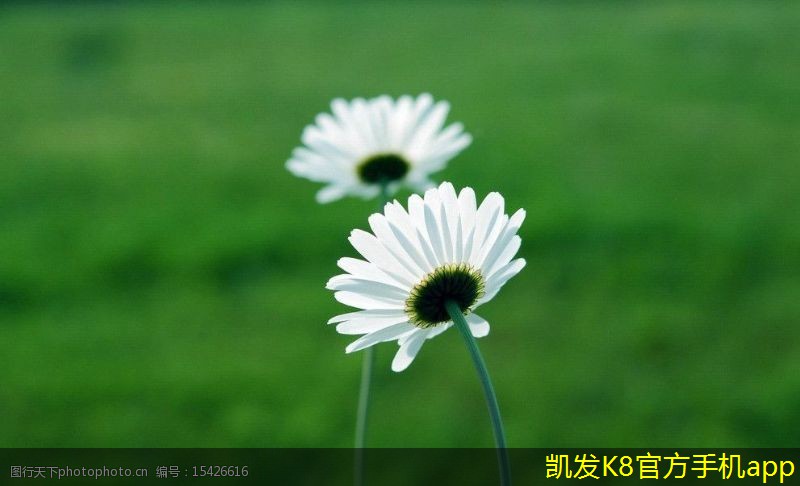 如何確保門禁考勤數(shù)據(jù)的準確性