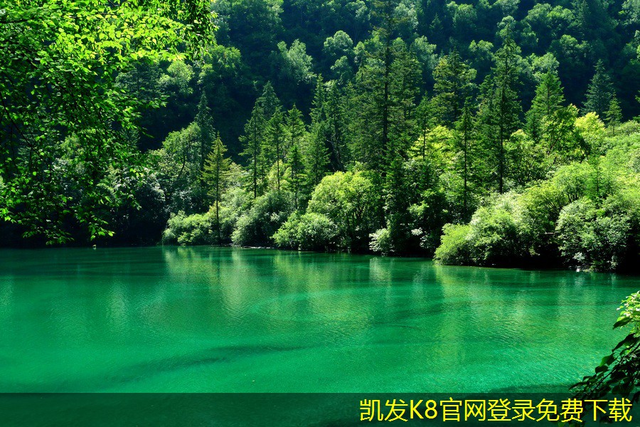 如何評估紅外報警系統(tǒng)的性能