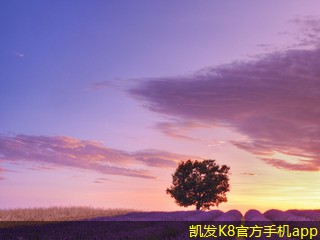 如何進行網(wǎng)絡布線的市場調(diào)研