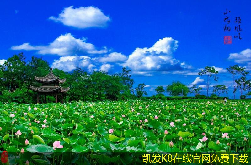 如何進(jìn)行網(wǎng)絡(luò)布線的效果評(píng)估