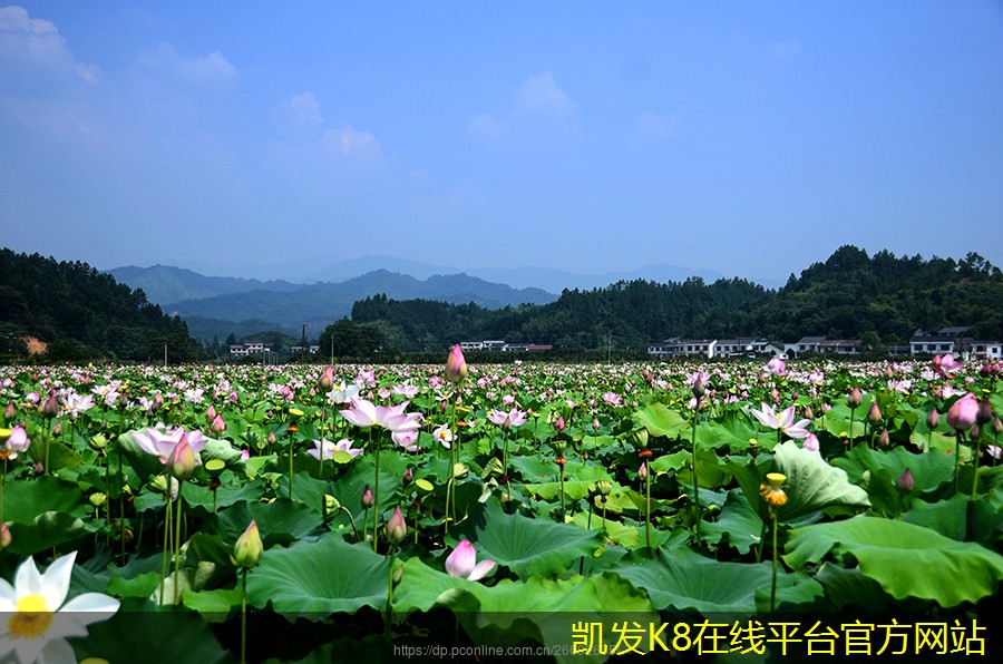 如何選擇網(wǎng)絡布線的合作伙伴