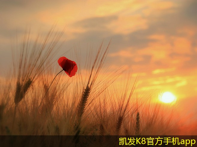 如何選擇適合小型企業(yè)的無(wú)線WIFI