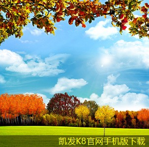 如何通過安防監(jiān)控提升反應速度