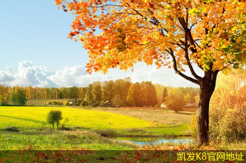 如何通過(guò)紅外報(bào)警提升個(gè)人安全意識(shí)