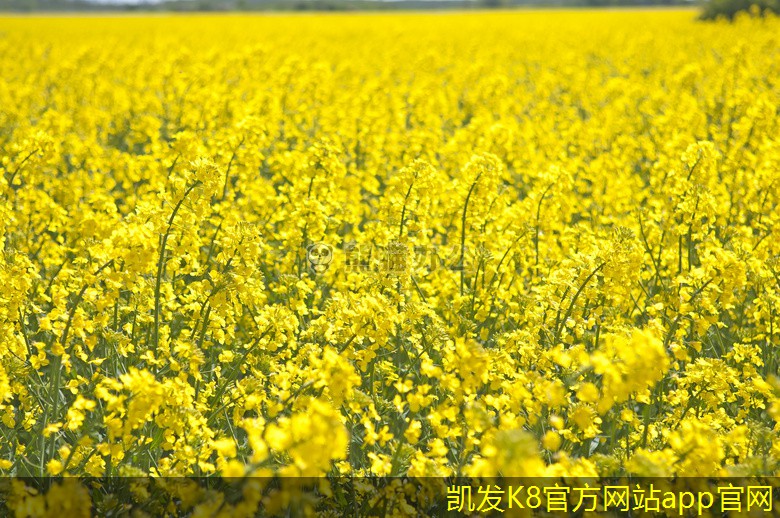 如何通過集團(tuán)電話提升團(tuán)隊(duì)士氣
