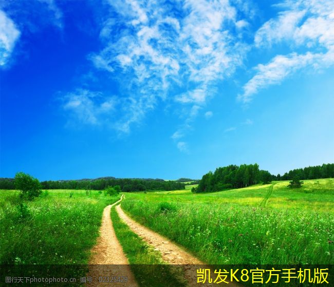 安防監(jiān)控與隱私保護(hù)的平衡