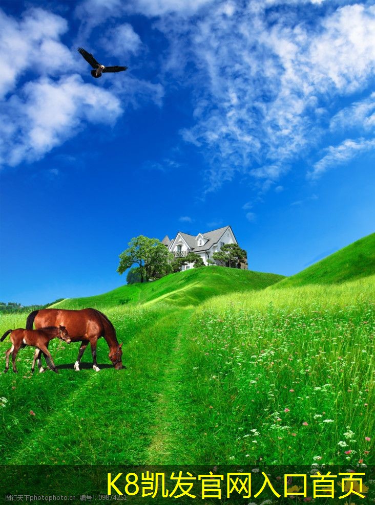 安防監(jiān)控在居住小區(qū)中的應(yīng)用