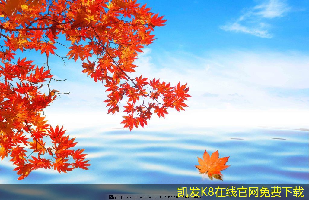 安防監(jiān)控在銀行業(yè)的應(yīng)用實(shí)例