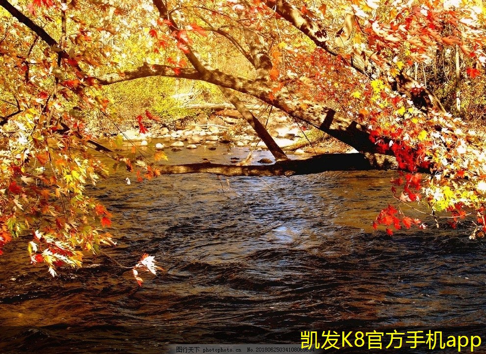 安防監(jiān)控技術的國際發(fā)展動態(tài)