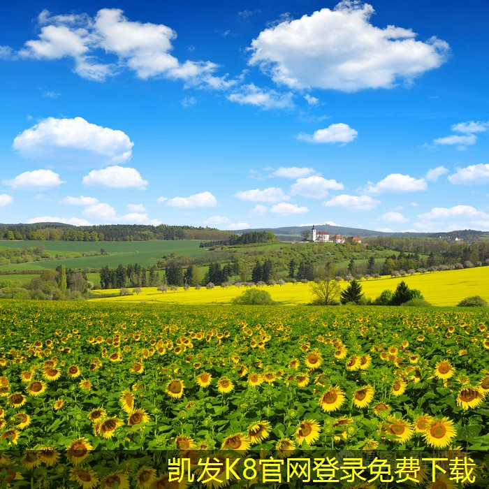 安防監(jiān)控系統(tǒng)的遠(yuǎn)程訪問(wèn)技巧