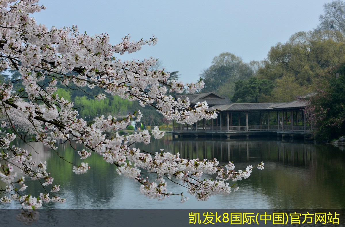 實現(xiàn)無縫視頻會議的網(wǎng)絡(luò)要求