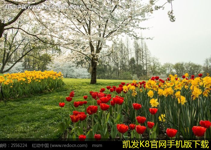 實(shí)現(xiàn)高效遠(yuǎn)程協(xié)作的視頻會(huì)議指南