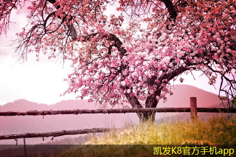 家庭無線WIFI網(wǎng)絡(luò)的安全設(shè)置