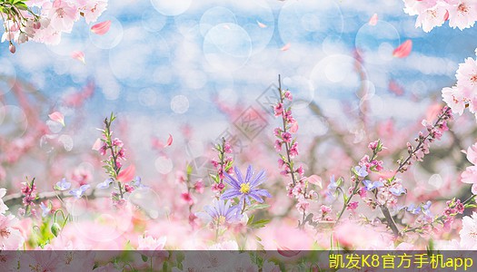 影響無線WIFI速度的因素