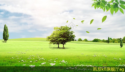 成功視頻會(huì)議的關(guān)鍵因素