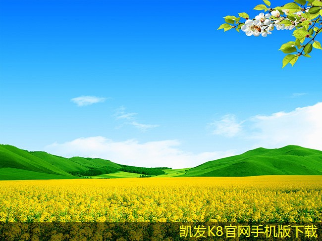 打造完美婚禮的背景音樂(lè)清單