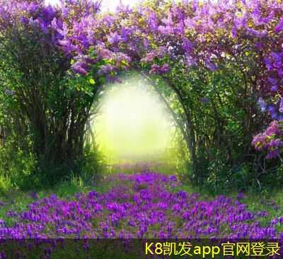 提高機房建設效率的工具和方法