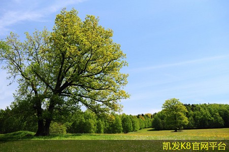 無線WIFI信號增強器的使用技巧