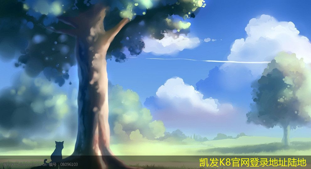 避免視頻會議失控的管理策略