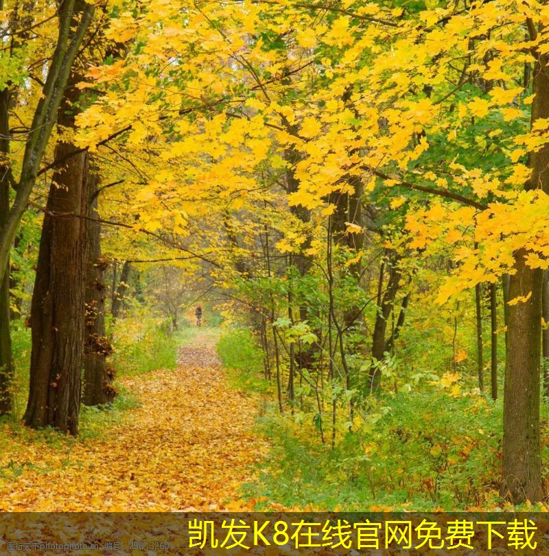 門(mén)禁考勤系統(tǒng)的實(shí)施步驟與注意事項(xiàng)