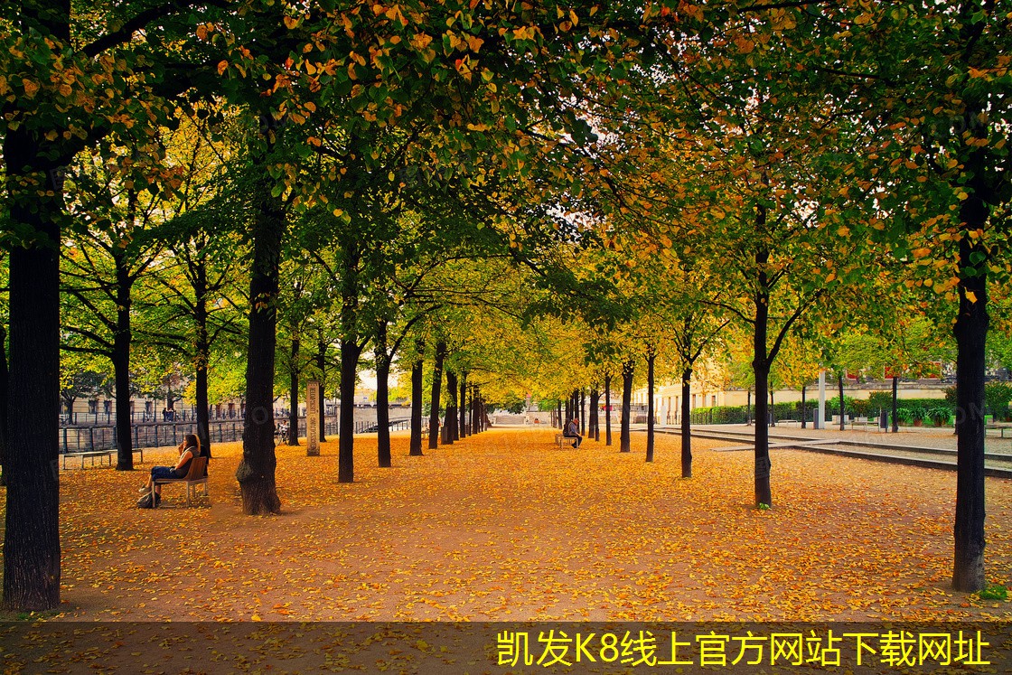 集團(tuán)電話的市場競爭現(xiàn)狀